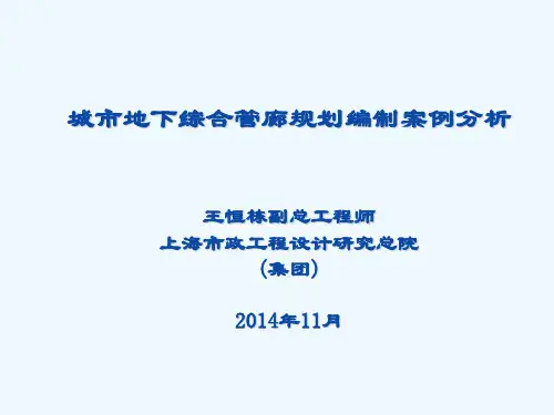 城市地下综合管廊规划编制案例分析