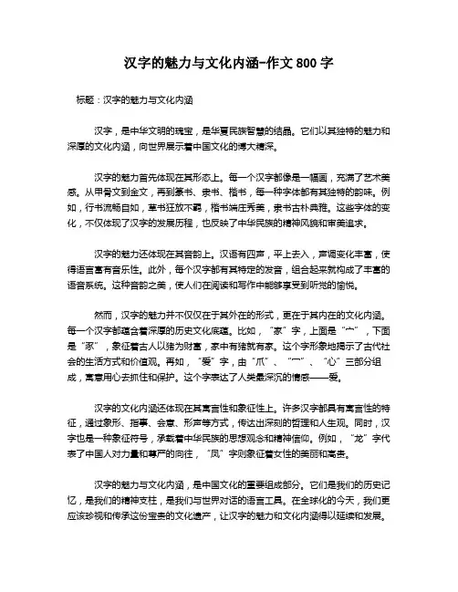 汉字的魅力与文化内涵-作文800字