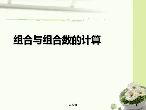 组合与组合数的计算 PPT