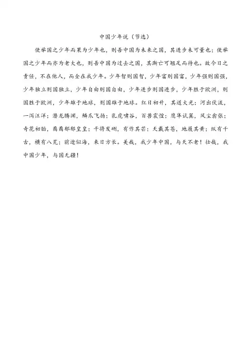 中国少年说