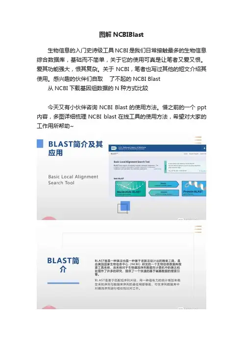图解NCBIBlast
