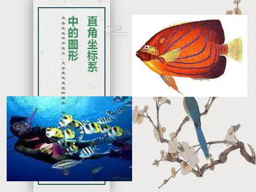平面直角坐标系中的图形