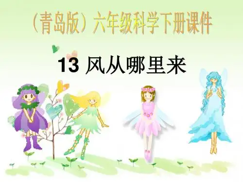 青岛小学科学六下《13、风从哪里来》PPT课件 (2)