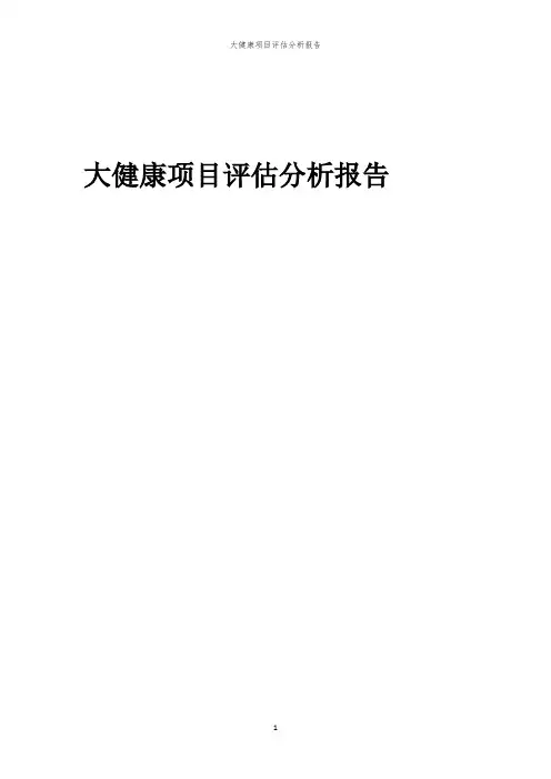 大健康项目评估分析报告
