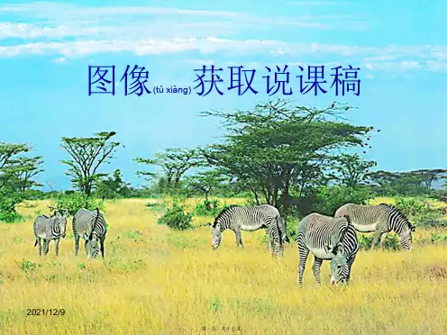 七年级信息技术 图像获取说课稿课件