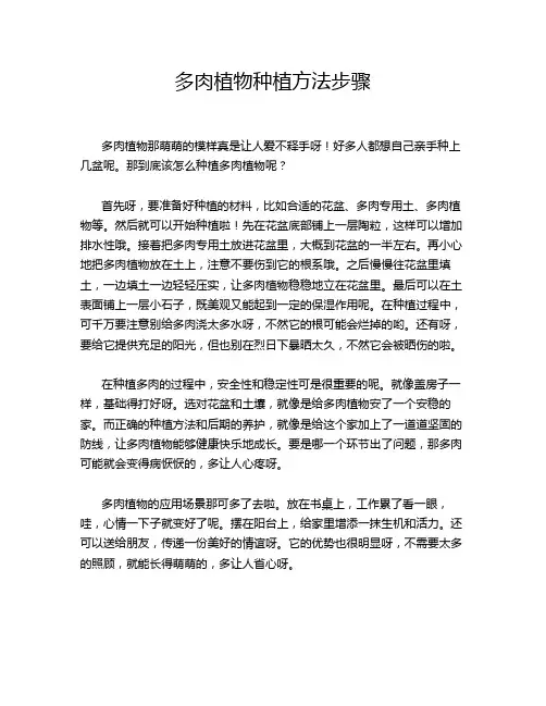 多肉植物种植方法步骤