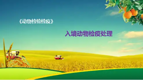 动物检验检疫： 入境动物检疫处理
