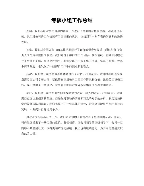 考核小组工作总结