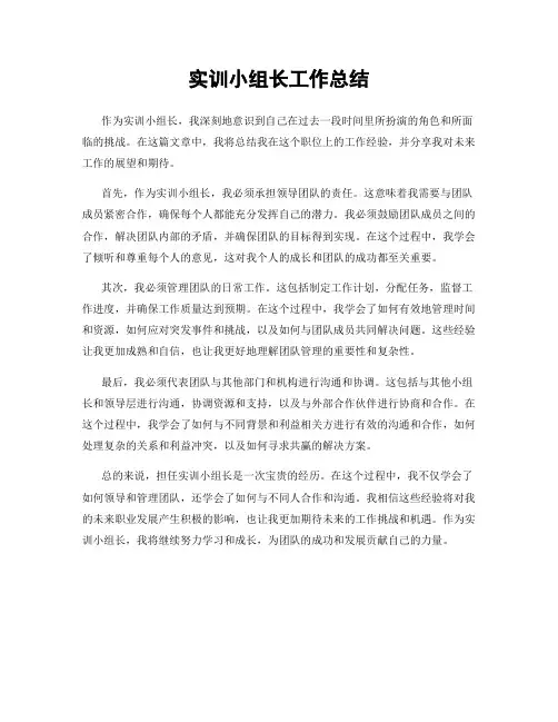 实训小组长工作总结