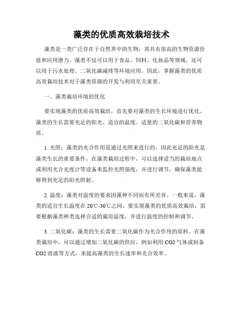 藻类的优质高效栽培技术
