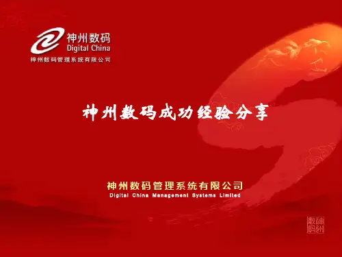 神州数码成功经验分享