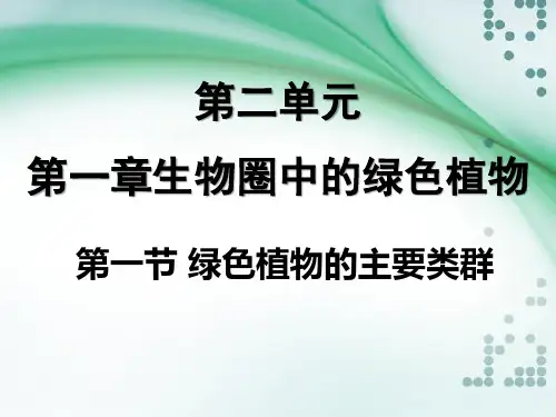 _济南版七年级上册2.1.1绿色植物的主要类群课件(33张ppt)