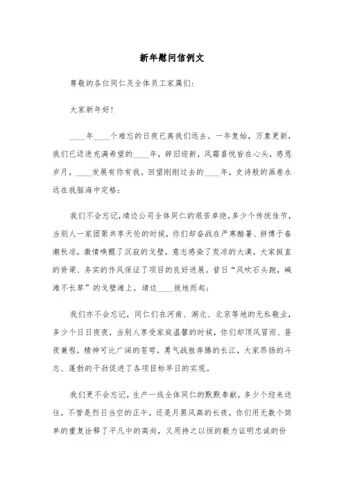 新年慰问信例文（五篇）
