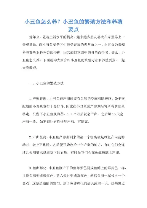 小丑鱼怎么养？小丑鱼的繁殖方法和养殖要点