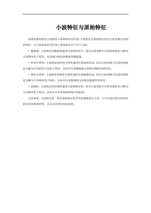 小波特征与原始特征