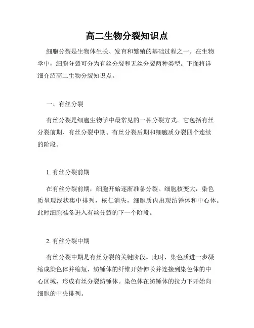 高二生物分裂知识点