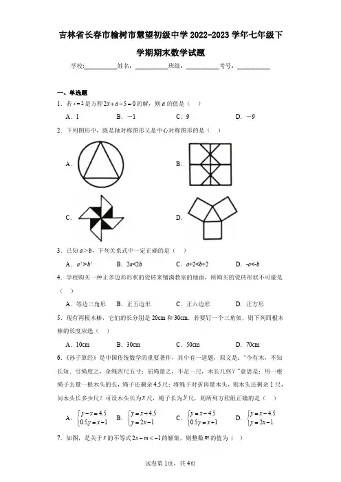 吉林省长春市榆树市慧望初级中学2022-2023学年七年级下学期期末数学试题