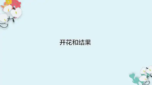 七年级上册生物-第三单元第二章第三节《开花和结果》【课件】