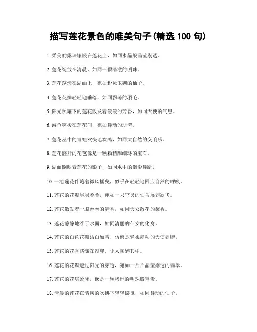 描写莲花景色的唯美句子(精选100句)