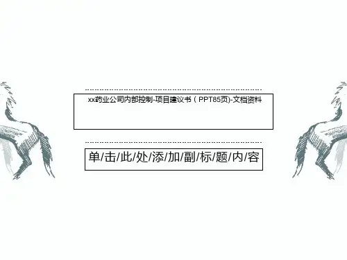 xx药业公司内部控制-项目建议书(PPT85页)-文档资料