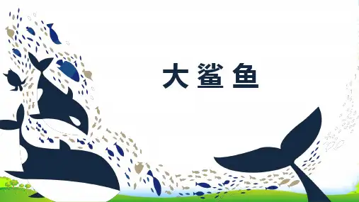 3岁-6岁 《鲨鱼》-课件