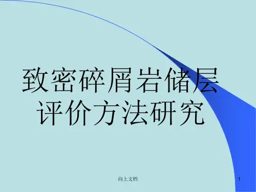 储层评价 致密碎屑岩储层评价方法研究[谷风建筑]