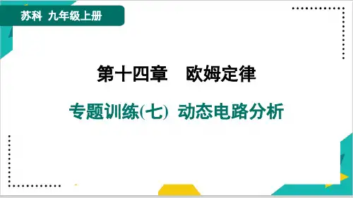 2024年苏科版九年级上册物理期末专题训练(七)  动态电路分析