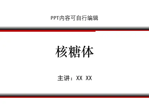 核糖体PPT精品课程课件讲义
