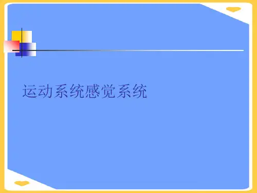运动系统感觉系统.正式版PPT文档
