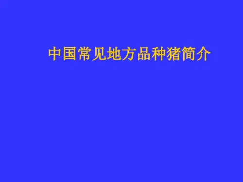 中国地方品种猪简介