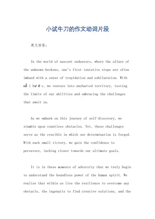 小试牛刀的作文动词片段
