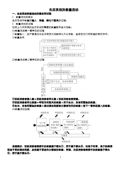 生态系统的能量流动