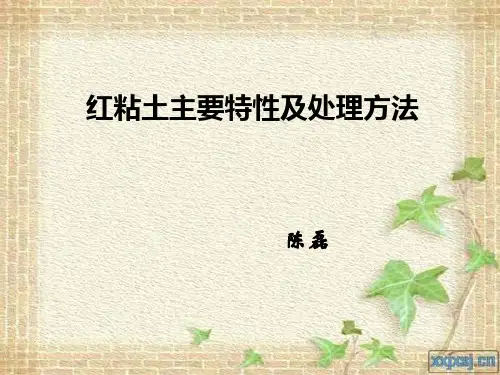 红粘土(PPT)