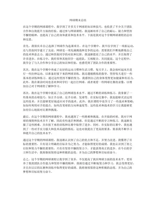 网球期末总结