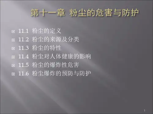 粉尘的危害与防护ppt课件