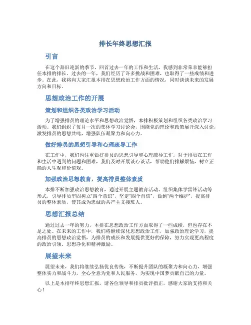 排长年终思想汇报
