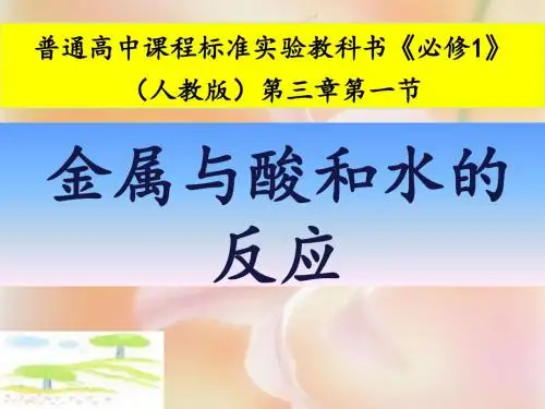 金属与酸和水反应的说课PPT12.19