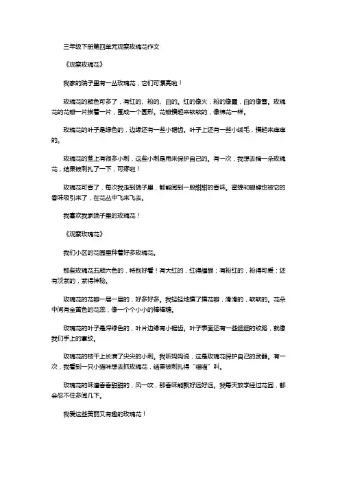 三年级下册第四单元观察玫瑰花作文