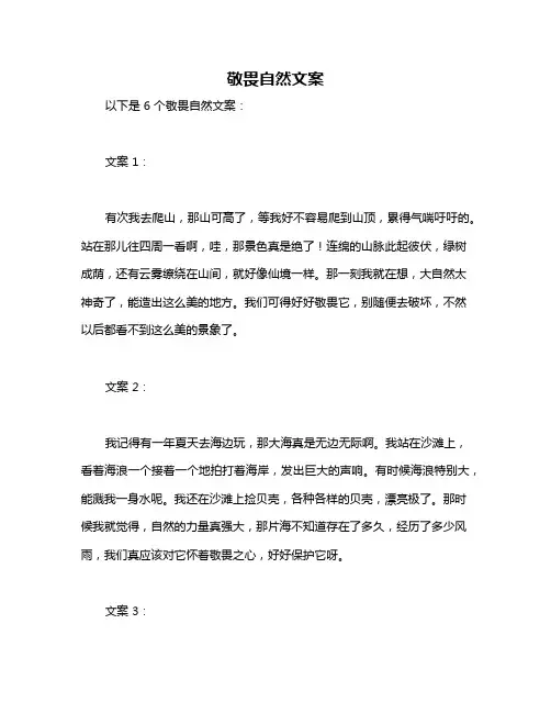 敬畏自然文案