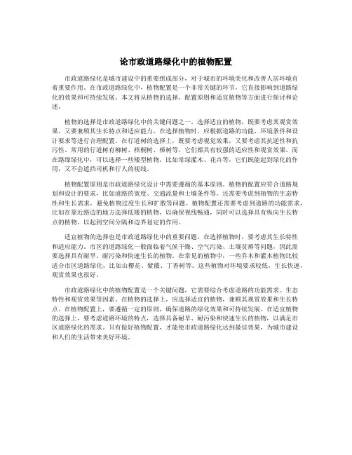 论市政道路绿化中的植物配置