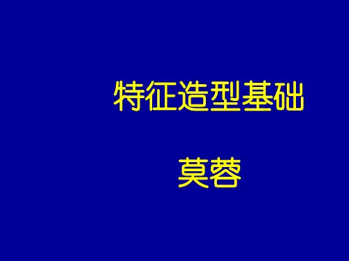 特征造型