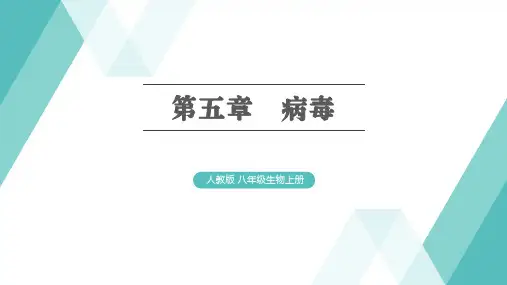 第五章 病毒 (共29张PPT)人教版 八年级上册