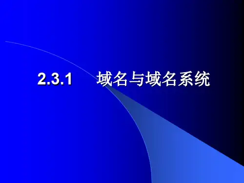 2.3.2域名的管理