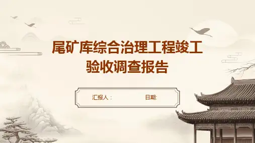 尾矿库综合治理工程竣工验收调查报告