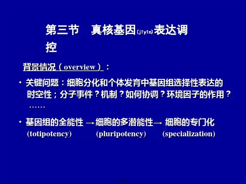 细胞生物学--第十二章：(3)细胞分化与基因表达调控