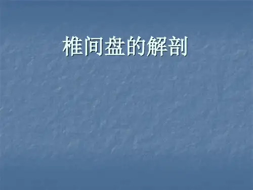 椎间盘解剖腰椎间盘突出症临床及影像学诊断