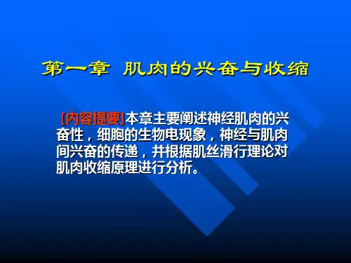 【基础医学】01 肌肉的兴奋与收缩