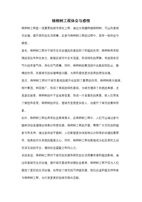 梧桐树工程体会与感悟