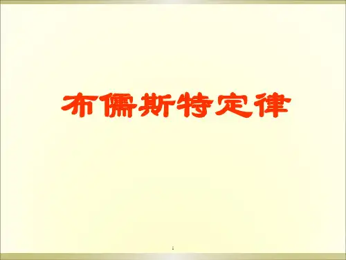 布儒斯特定律ppt课件