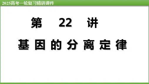 第22讲 基因的分离定律-备战2025年高考生物一轮复习情境教学精讲课件